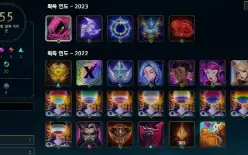 Platina Iv Solo Duo E Flex Com Wr Bizarro