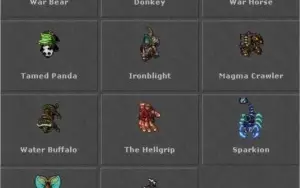 SORCERER LV 500 EM MUNDO VERDE