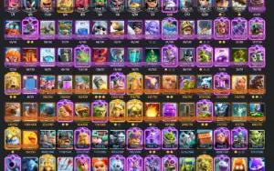 Conta CR Vários decks nv16 (max) + Coc Cv 14 Semi Full.