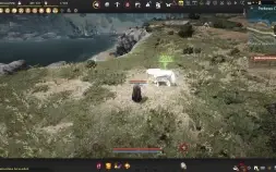 Conta Black Desert SA (Não Steam) 695 GS Hashashin 63