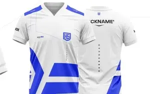 PROJETO DE TIME E-SPORTS