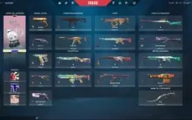 Conta valorant varias skins e conta lol
