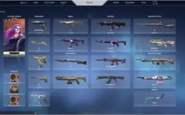 Conta Valorant platina com 8 skin