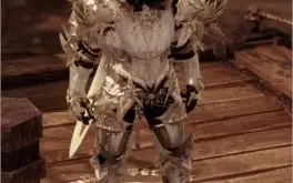 Skin paladino Platinum A
