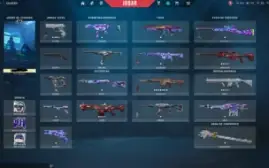 VALOR GASTO NA CONTA R$ 221 REAIS