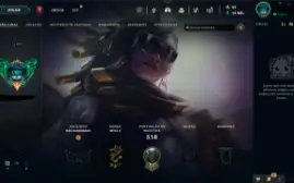 Conta League Of Legends ( 332 Skins ) Lv 349
