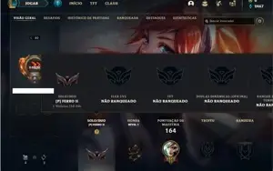 Conta ferro 2 com 47 Champs e 19 Skins + 2 Miticas
