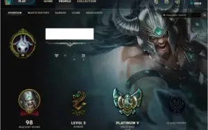 CONTA PLATINA 5
