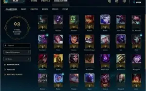 CONTA PLATINA 5