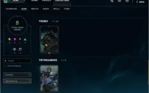 CONTA PLATINA 5