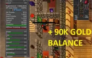 Royal Paladin lvl 77 + MS lvl 55 (grátis), Server Zuna