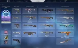 VENDO CONTA VALORANT- MUITAS SKINS