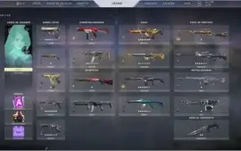 Conta de Valorant + League of Legends (Muitas Skins)