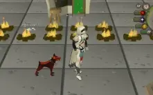 Conta Top Main Osrs, 4 Pet