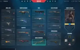 Conta Valorant Skins Do Champions E Faca Do Beta