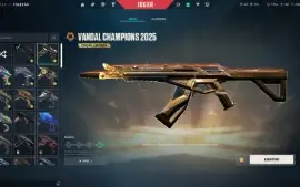 Conta Valorant Skins Do Champions E Faca Do Beta