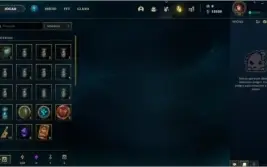 CONTA LEVEL 30 VIRGEM