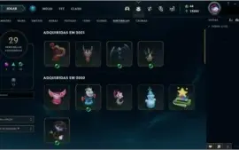conta ótima com 1001 skins e todos os champs habilitados