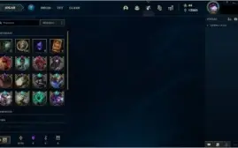 conta ótima com 1001 skins e todos os champs habilitados