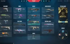 Conta de Valorant Ascendente 1 com Muitas Skins Full acesso