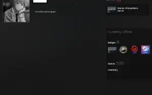500 jogos, Nível 13 steam, Com infos de criação