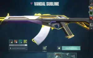 Conta Valorant 1600 Reais Gasto