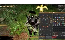 Black Friday 604GS Baraca P2W 969 perolas Black Desert SA