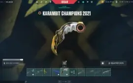 Conta no Valorant MMR Radiante(top100)