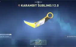 CONTA COM CHAVEIRO DE RADIANTE CHEIA DE SKIN