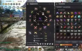 CONTA BLACK DESERT - ARCHER LEVEL 61/229 PA - 287 DP