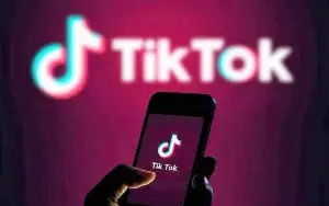 Tiktok Ninja. Viralize seu Tiktok