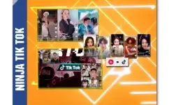 Tiktok Ninja. Viralize seu Tiktok