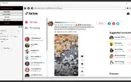 Tiktok Ninja. Viralize seu Tiktok