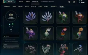 691 skins, todos os champ, 20 paginas de runa