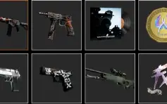 Conta PRIME Counter-Strike Level 20 na GC & Lvl 8 na FACEIT