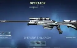 CONTA VALORANT COM SKIN E TODOS AGENTEs