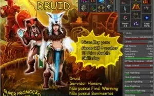 Vendo Druid level 205  - honera