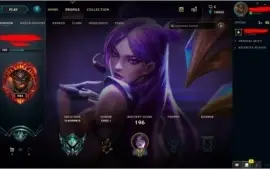 CONTA PLATINA 2