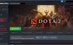 Conta dota 2 com 6,5k de MMR rank 800 com varios itens