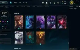 Conta Riot LOL 137 SKINS E VALORANT PLAT 2 SINGULARIDADE