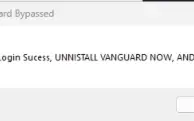 Mainvg (Anti Vanguard)