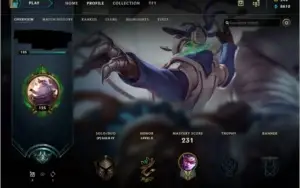 CONTA EX PLATINA 88 SKINS , 90 CAMPEÕES  SMURF