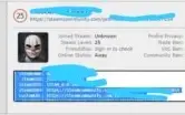 CONTA 5 ANOS STEAM, LEVEL 25, CS PRIME, 1500 Hr, 400 WINS