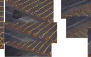 Conta Albion Online +5B de fama