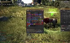 Venda de Conta Black Desert Online – Mid/End Game