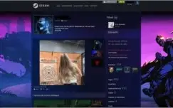 Conta Steam de Youtuber - 400 jogos, 7 anos, level 69