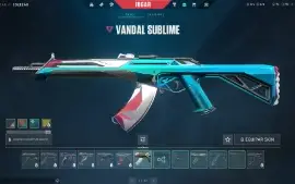 Conta Valorant Fa ( Full Acesso ) Com Skins
