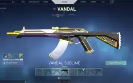 Conta Valorant Platina 3 / 1000VP E 8 SKINS E FACA
