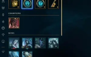 Conta mestre full acesso main mid