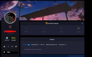 Conta csgo prime level 30 steam, integridade perfeita.